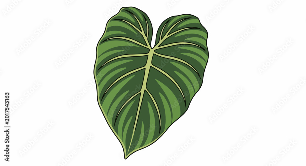 Fototapeta premium Stylized, heart-shaped, variegated green leaf with distinct yellow veins