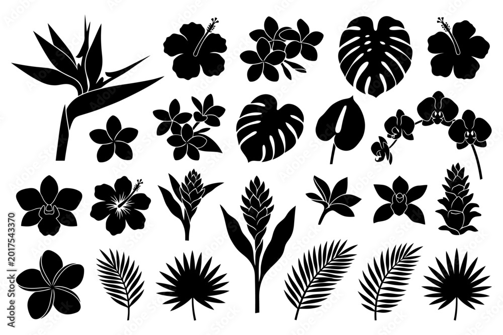 Obraz premium Collection of tropical plant and flower silhouettes with leaves.