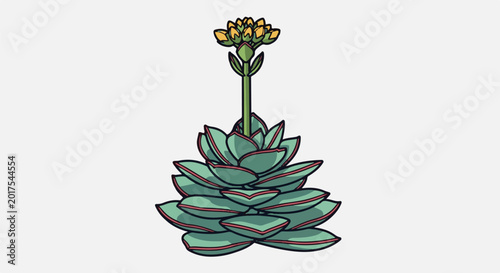 A detailed illustration of a succulent plant with layered green leaves and yellow flower buds