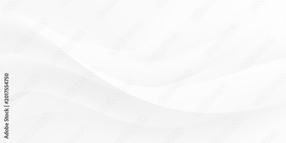 Obraz premium Smooth white wavy abstract background with subtle gradient texture and soft curves