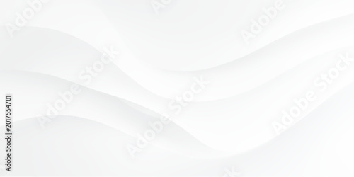 Canvas Print Abstract white wavy background with smooth curves and light gray shadows modern