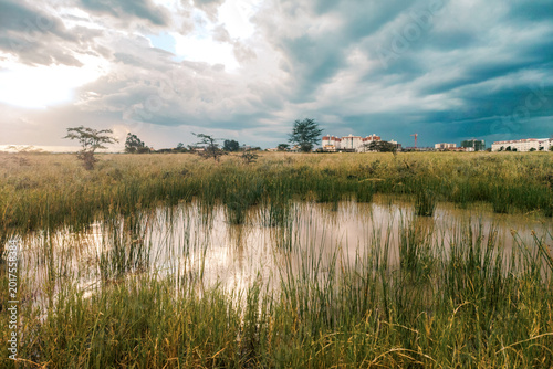 Tableau sur toile Dramatic Storm Clouds Over Syokimau Wetlands with Apartment Buildings in the bac