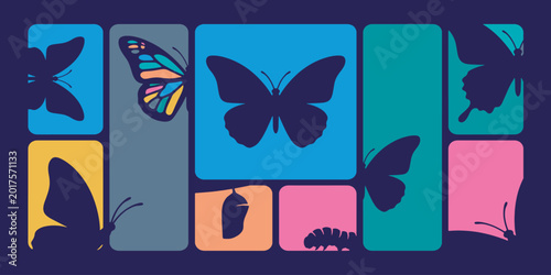 Konstfotografi Colorful butterfly graphic with various stages of life cycle in a grid