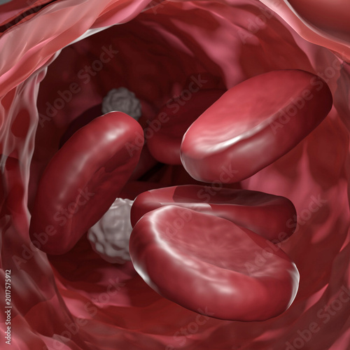 3d model of red blood cells amd some platelets in a blood vessel. Not AI generated