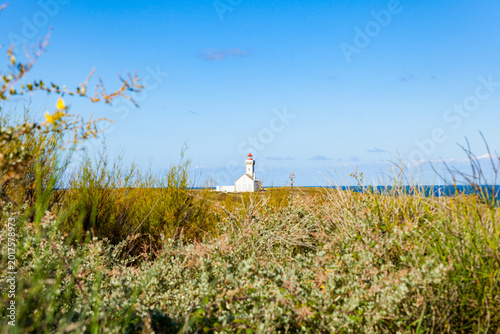 The lighthouse 