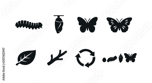 Butterfly life cycle icons showing metamorphosis stages and elements