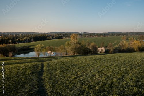 Peaceful Spring Meadow and Forest Landscape in Vysočina
