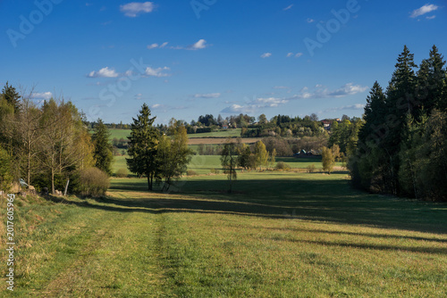 Peaceful Spring Meadow and Forest Landscape in Vysočina