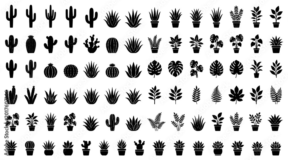 Fototapeta premium Plants illustration set with various cacti and succulents in pots featuring botanical, nature, greenery with plant icons and plant drawings elements