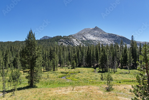 Mammoth Peak In Yosemite National Park