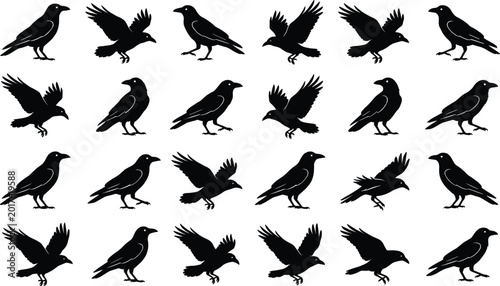 Bild auf Leinwand Black Crow and Raven Silhouette Collection Featuring Flying Standing and Perchin