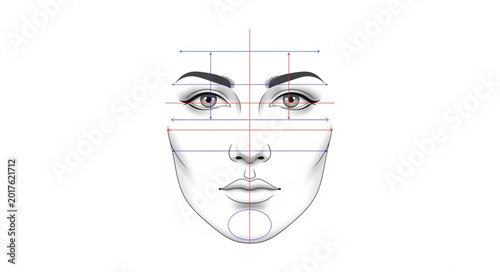 Tableau sur toile Detailed Drawing of a Female Face with Proportional Guidelines.