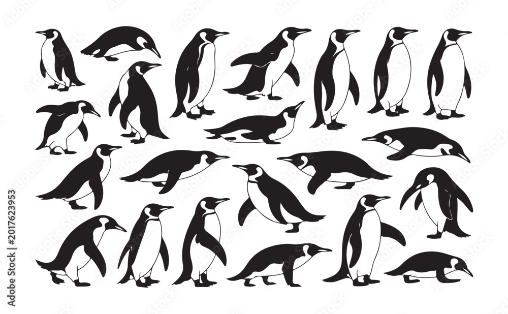 Obraz premium Collection of penguin illustrations showing different poses and styles for educational or decorative purposes.