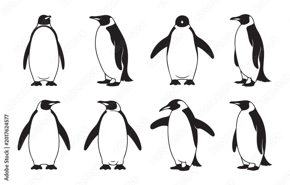 Fototapeta premium Diverse group of emperor penguins in various poses on white background vector illustration.