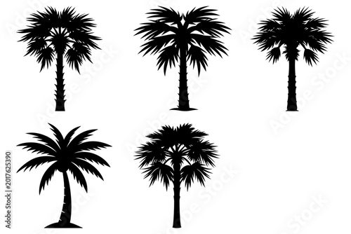 Konstfotografi Palmetto tree black silhouette vector illustration