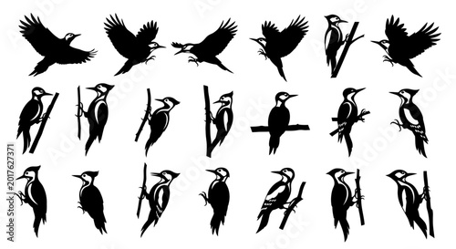 Collection of black woodpecker silhouettes in various poses on white background