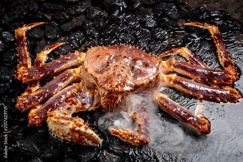 Photos Alaskan king crabs roam in water strewn with black pebbles.