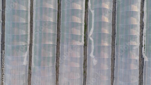 Greenhouse (Polytunnel) in Germany to produce strawberrys