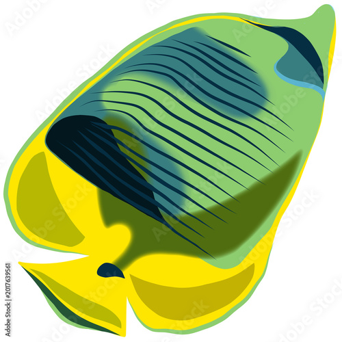 fish 열대어