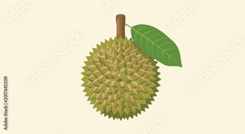 Photos Whole green durian fruit with sharp thorns and a green leaf isolated on a light cream background