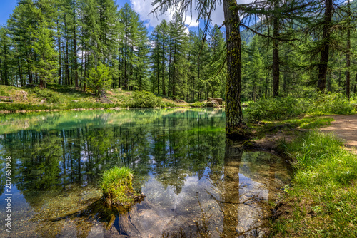 Obraz na płótnie The crystal-clear water of lake Pellaud reflects the alpine forest under a brigh