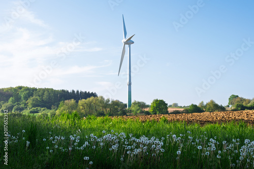 wind turbine in the field