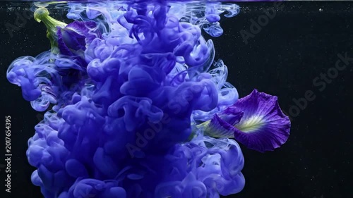 vibrant blue ink cloud blooming around purple butterfly pea flowers underwater, natural and surreal beauty, abstract water, ethereal flow