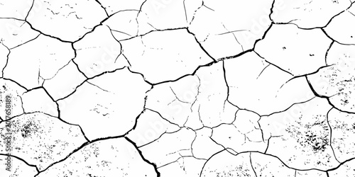 Cuadro en lienzo Organic cracked earth texture with natural fracture lines in bold monochrome, ideal for geological themes, decay concepts, or rustic background elements