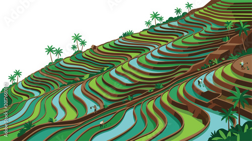 Tableau sur toile Terraced rice fields on a hillside with farmers working among palm trees