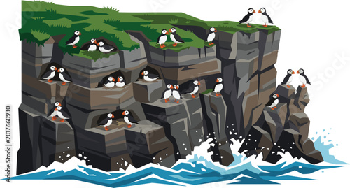 Fotografie Puffin colony nesting on a steep coastal cliff above crashing ocean waves