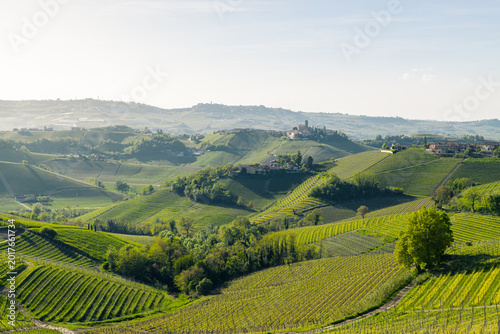Rolling vineyard hills with rows of grapevines, scattered farmhouses and a hilltop village glowing in soft sunlight across a cultivated rural landscape - Piedmont, Italy