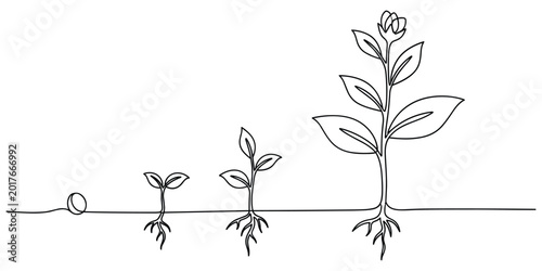 Continuous line drawing shows plant growth stages from seed to mature plant, symbolizing development.