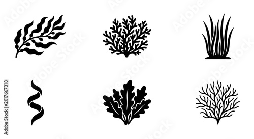 Marine Algae Vector Icons, Seaweed Plant Silhouettes, Underwater Flora Graphics, Ocean Botanical Elements, Black and White Nature Symbols