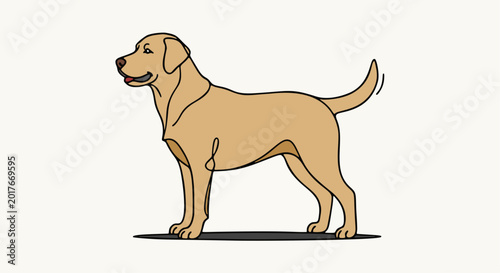 Fényképezés golden retriever dog art for children book or tshirt design or anything