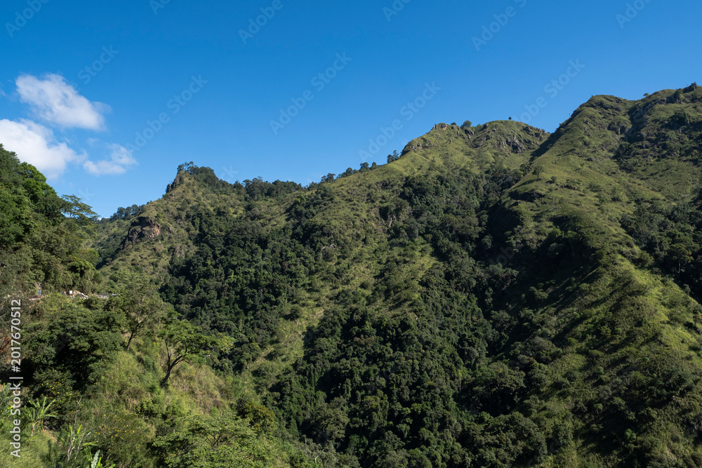 Obraz premium View from below of Little Adam's Peak in Ella, Sri Lanka. Majestic green mountain slopes and tropical forest under a blue sky.