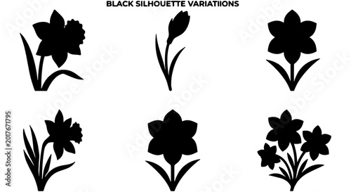 Canvastavla Black Silhouette Daffodil Variations, Spring Flower Icons, Floral Vector Graphic