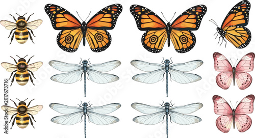 Quadro su tela Vintage watercolor insect vector collection featuring monarch butterflies pink b