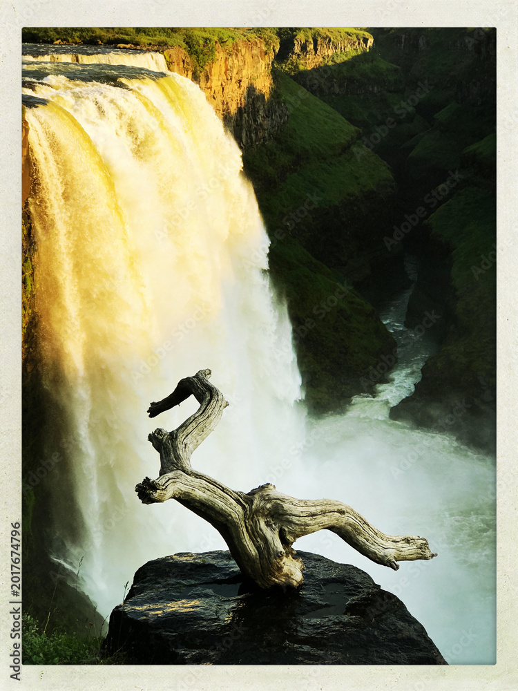 Fototapeta premium Pristine Wilderness and Plunging Waters of Victoria Falls