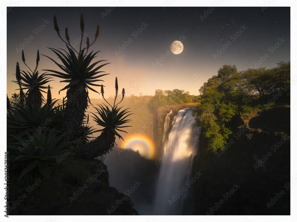 Fototapeta premium Pristine Wilderness and Plunging Waters of Victoria Falls