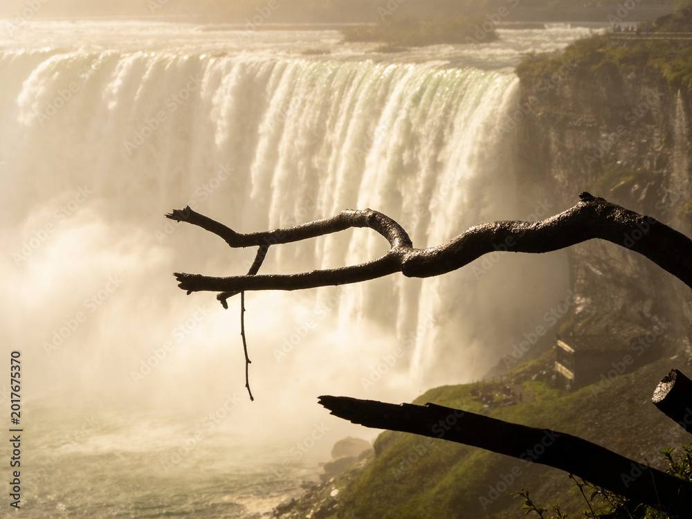 Fototapeta premium Pristine Wilderness and Plunging Waters of Victoria Falls