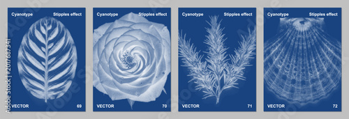 Tableau sur toile Elegant Fern Cyanotype Photogram Vector Set Indigo Verdant Minimalist Wall Art