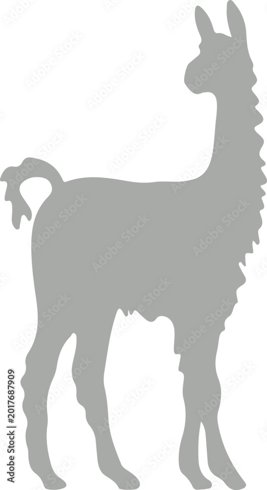 Fototapeta premium Llama and alpaca icon in flat vector style. Collection of cute camelid animal illustrations with standing poses and detailed head designs isolated.