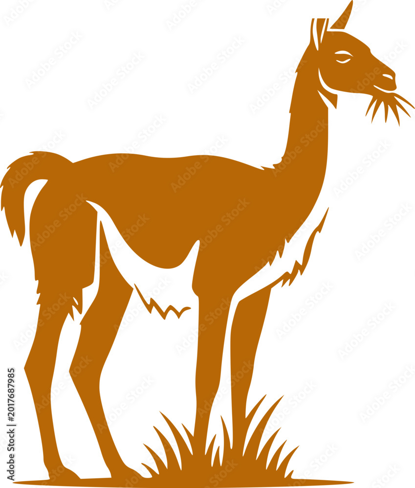 Fototapeta premium Llama and alpaca icon in flat vector style. Collection of cute camelid animal illustrations with standing poses and detailed head designs isolated.