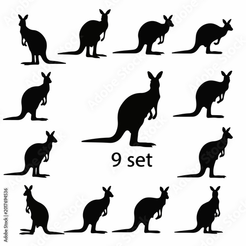 Photography Kangaroo silhouette collection isolated on minimalist white design background