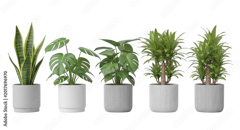 Fototapeta premium Five potted indoor green houseplants isolated on a transparent background PNG set