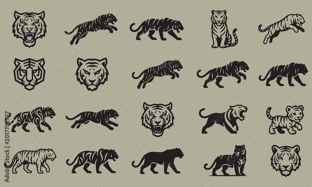 Fototapeta premium Set of Tiger Silhouette Icons in Various Poses