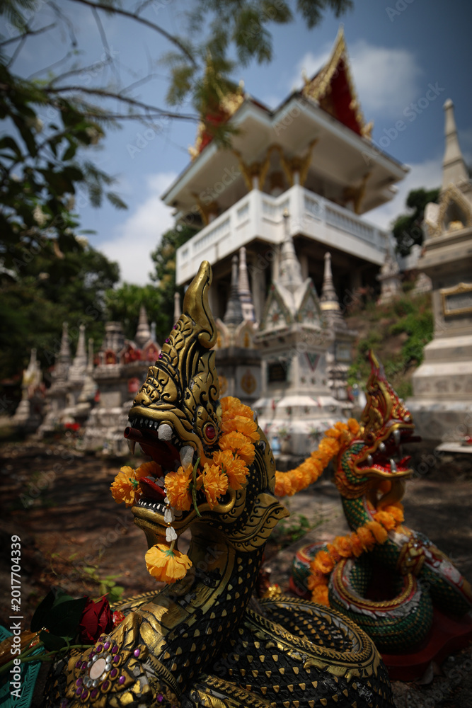 Fototapeta premium temple in bangkok