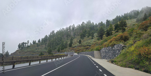 Fotografie Scenic view of a winding road bordered by lush greenery and trees, leading towar