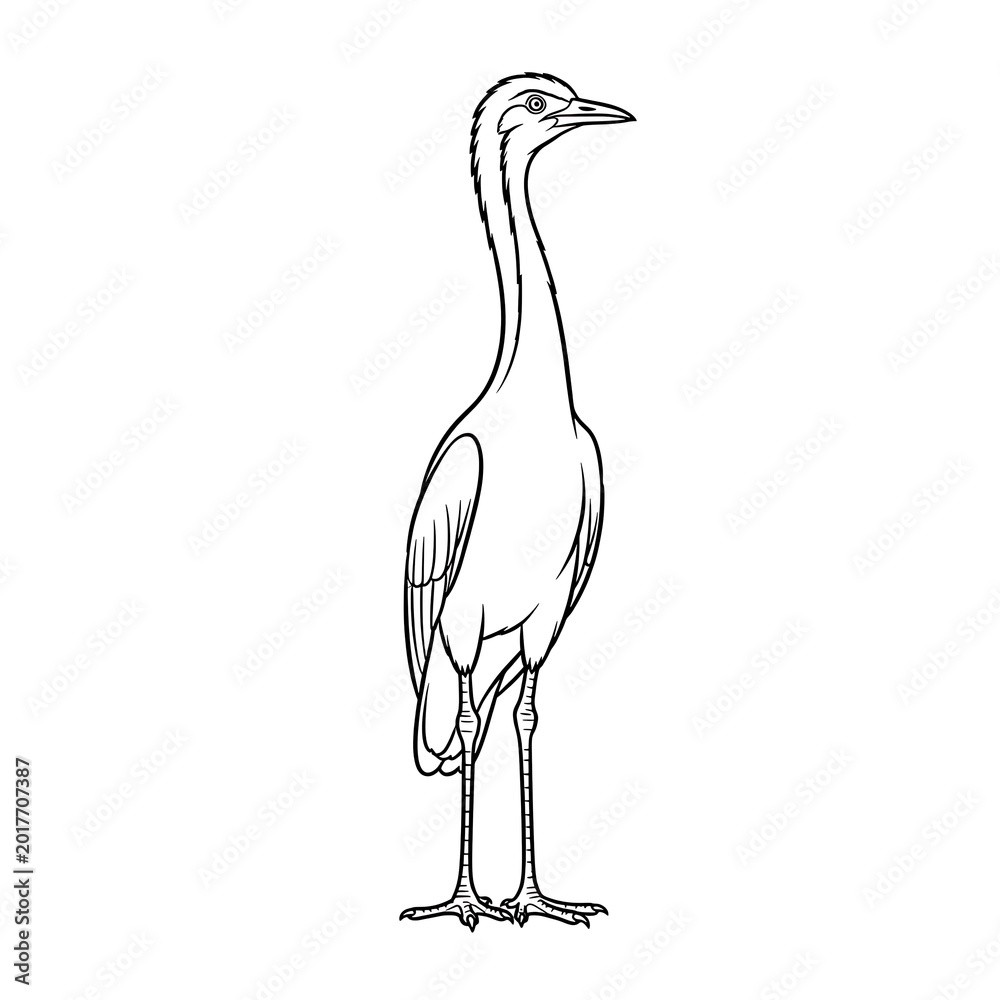 Fototapeta premium Black and white line of a heron isolated on a transparent background