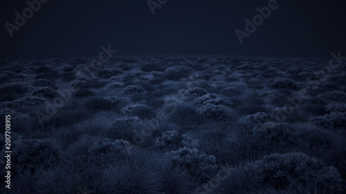 Dark mystical forest landscape with foggy trees at night
